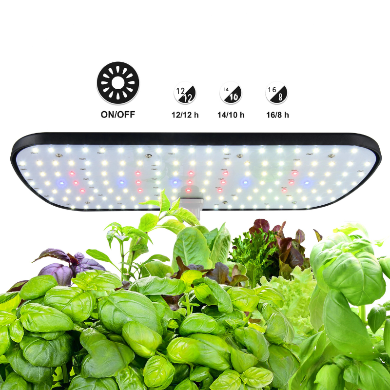 12-Pod Hydroponics Growing System – Indoor Herb Garden Kit with Adjustable Height, Automatic Timer & 20W LED Grow Light