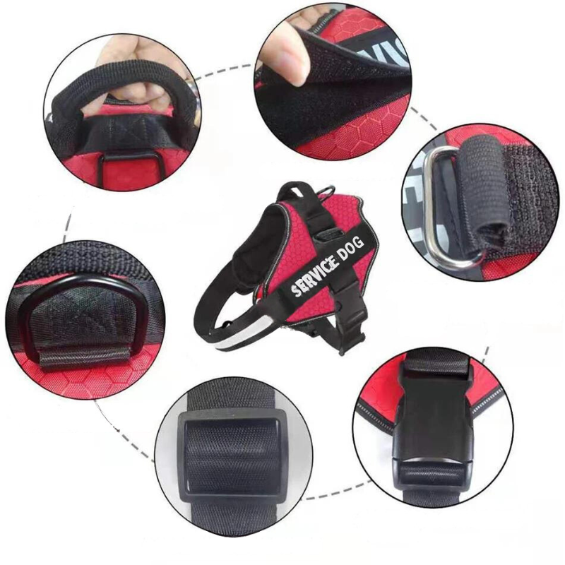 Personalized No-Pull Dog Harness – Reflective, Adjustable & Comfortable for Small to Large Breeds – Ideal for Walking & Training