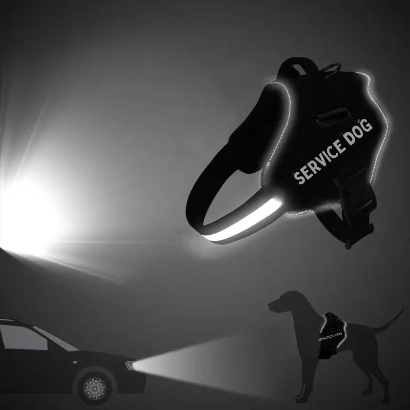 Personalized No-Pull Dog Harness – Reflective, Adjustable & Comfortable for Small to Large Breeds – Ideal for Walking & Training