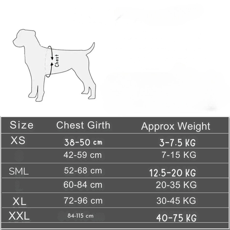 Personalized No-Pull Dog Harness – Reflective, Adjustable & Comfortable for Small to Large Breeds – Ideal for Walking & Training