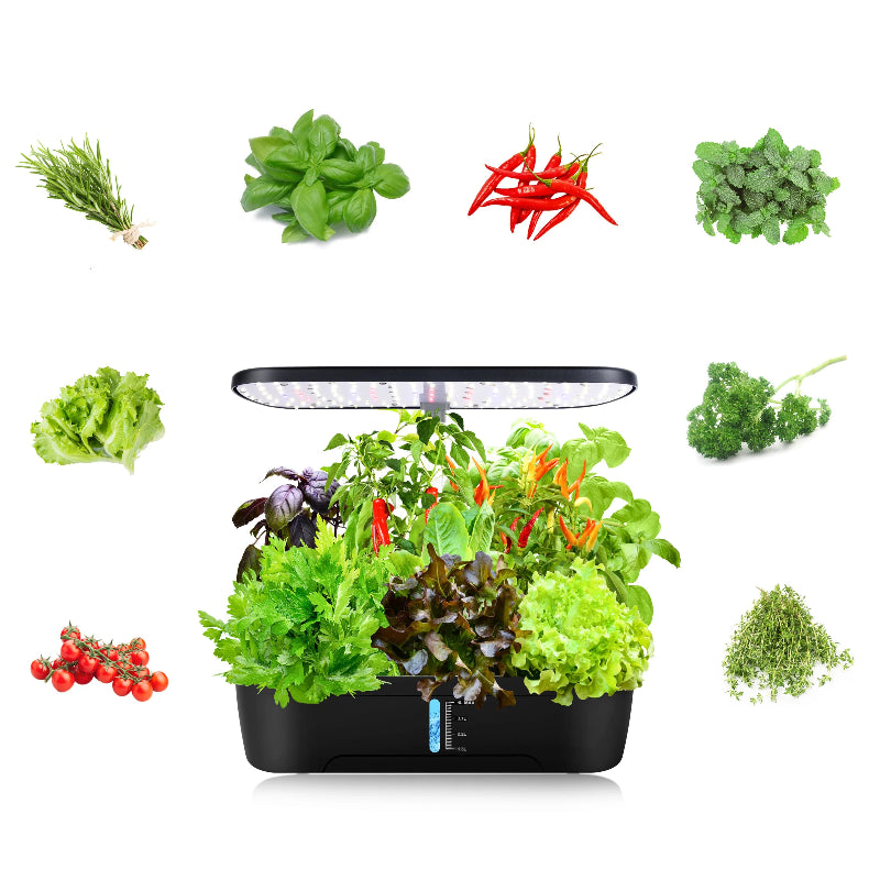 12-Pod Hydroponics Growing System – Indoor Herb Garden Kit with Adjustable Height, Automatic Timer & 20W LED Grow Light