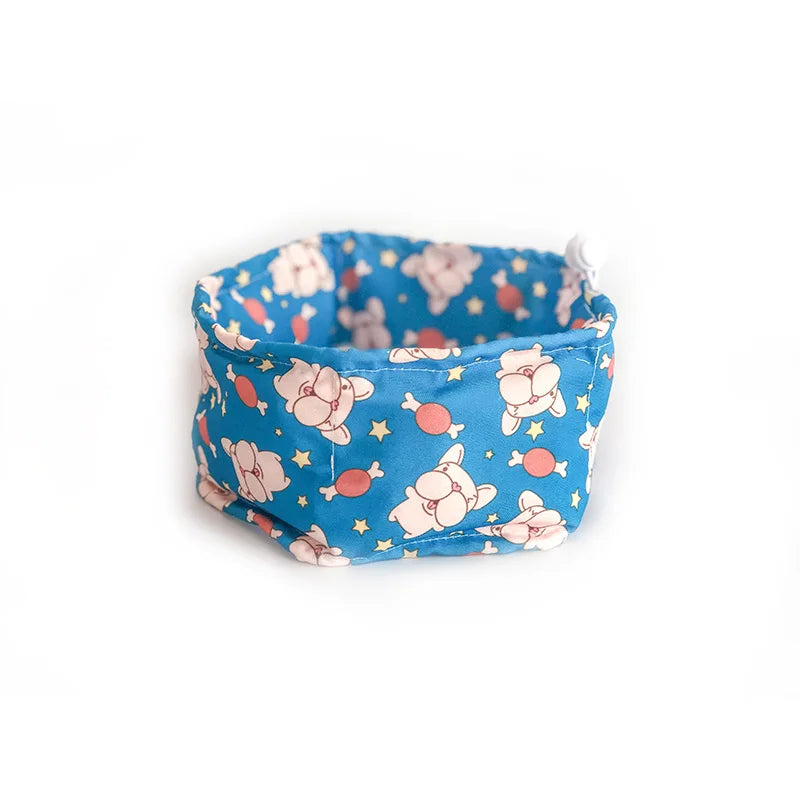 45687528947968|45687528980736|45687529013504