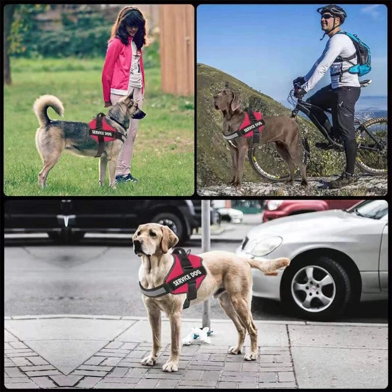 Personalized No-Pull Dog Harness – Reflective, Adjustable & Comfortable for Small to Large Breeds – Ideal for Walking & Training