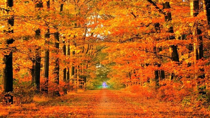 Fall Collection – Cozy Essentials & Autumn Style Finds