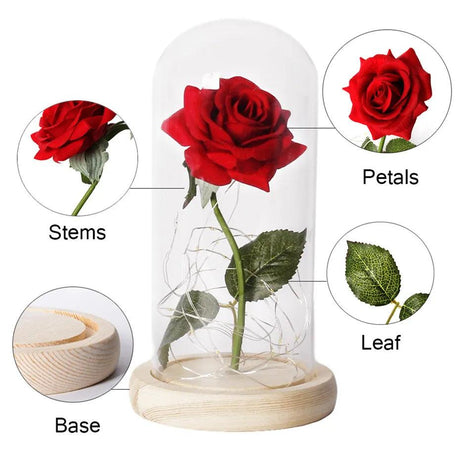 Eternal LED Rose in Glass Dome - Perfect for Valentine's & Mother's Day, Romantic Forever Rose Gift - novelvine