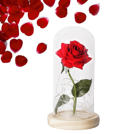 Eternal LED Rose in Glass Dome - Perfect for Valentine's & Mother's Day, Romantic Forever Rose Gift - novelvine