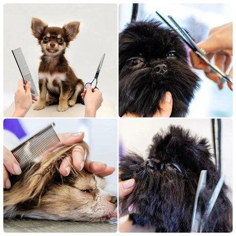 5pcs/Set Stainless Steel Pet Dogs Grooming Scissors Suit Hairdresser Scissors For Dogs Professional Animal Barber Cutting Tools - novelvine