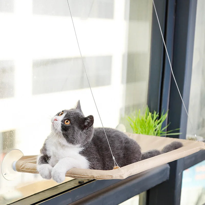 Pet Cat Hammock - Window-Mounted Climbing Frame, Removable Suction Cup Bed, Easy Clean Kitten Hanging House