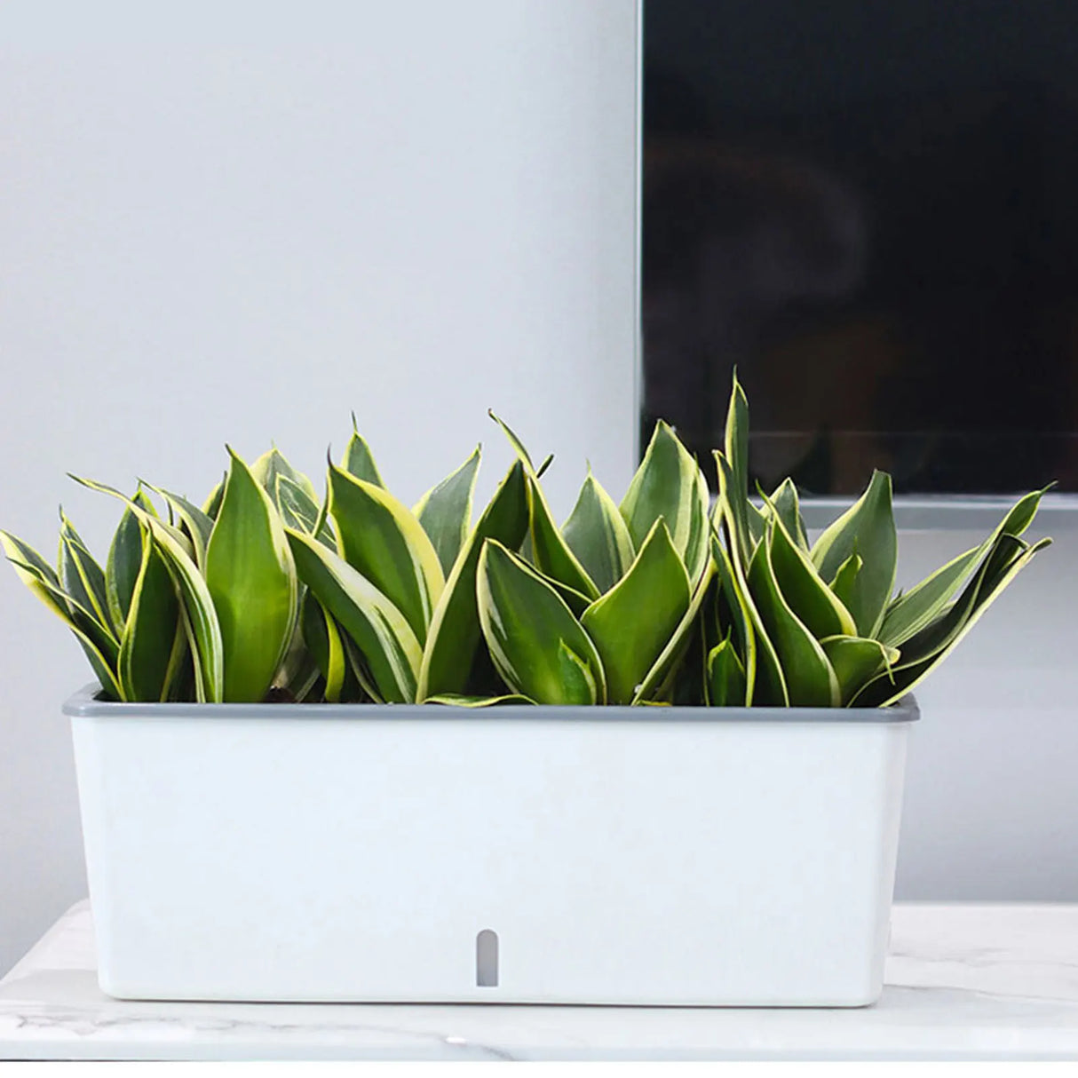Self-Watering Planter Pots with Water Level Indicator – Decorative Indoor & Outdoor Flower Pots, Perfect Gift for Friends, Family & Neighbors