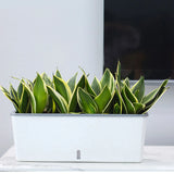 Self-Watering Planter Pots with Water Level Indicator – Decorative Indoor & Outdoor Flower Pots, Perfect Gift for Friends, Family & Neighbors