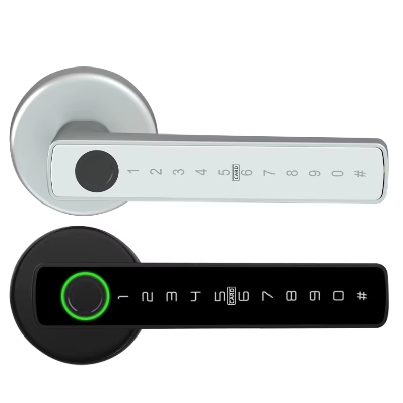 RAYKUBE M5 Tuya BLE Fingerprint Door Lock – Digital Electronic Lock with Password, Key, IC Card & Smartlife App Unlock