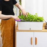 Self-Watering Planter Pots with Water Level Indicator – Decorative Indoor & Outdoor Flower Pots, Perfect Gift for Friends, Family & Neighbors