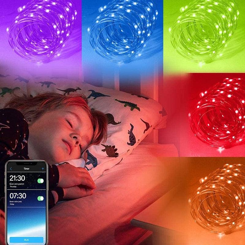 Bluetooth LED String Lights - novelvine