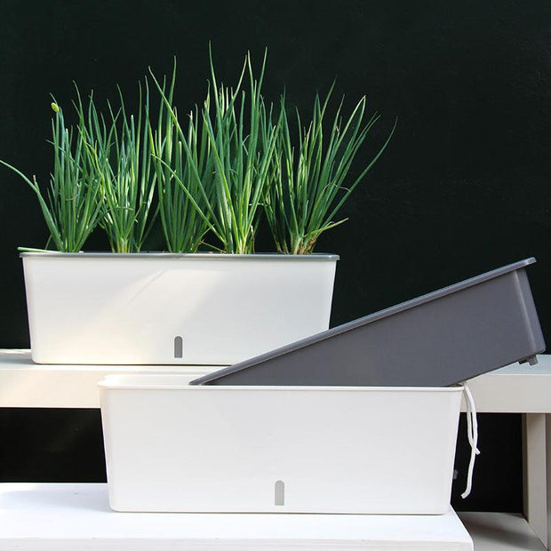 Self-Watering Planter