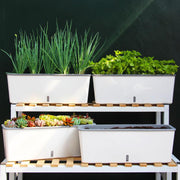 Self-Watering Planter