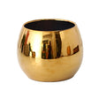 Nordic Minimalist Style Electroplated Ceramic Flowerpot - novelvine