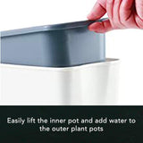 Self-Watering Planter - novelvine
