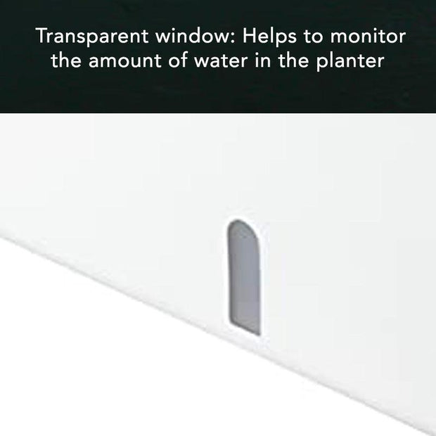 Self-Watering Planter