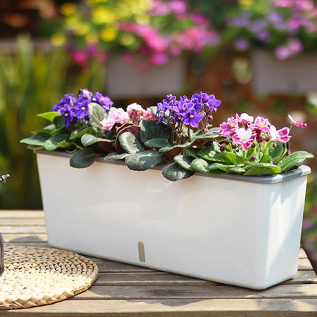 Self-Watering Planter - novelvine